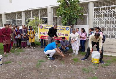 NSS tree plantation